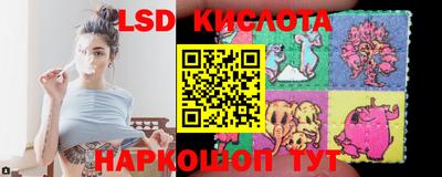 гидра Будённовск