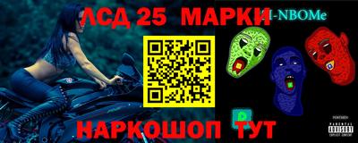 гидра Будённовск