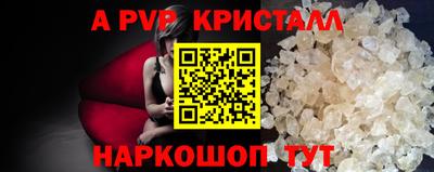 гидра Будённовск