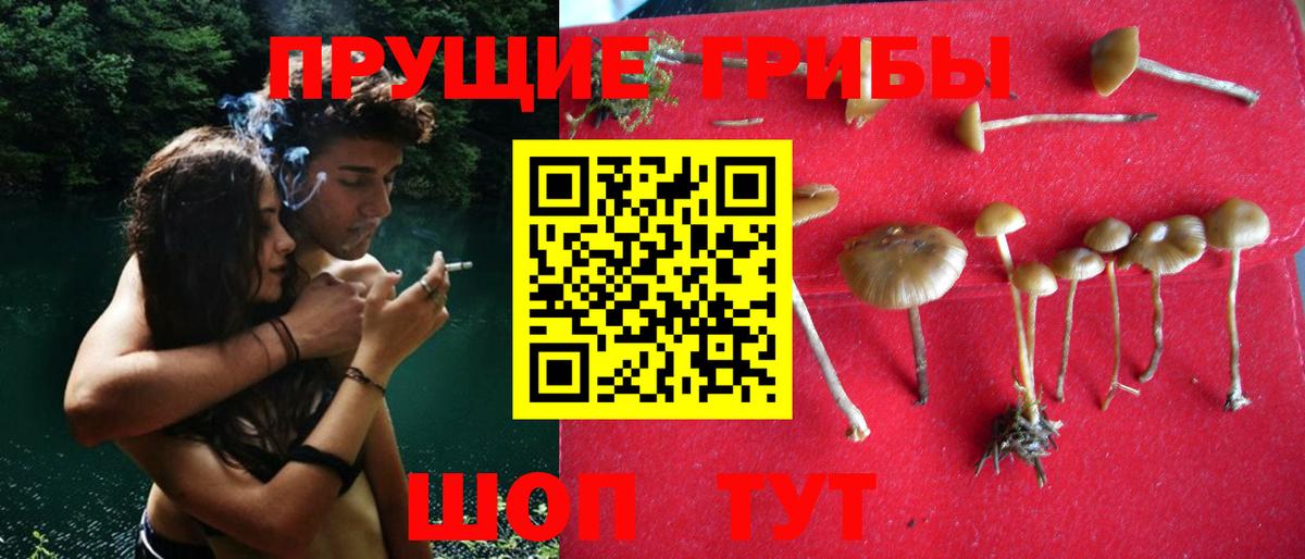 Шумерля  Псилоцибиновые грибы MAGIC MUSHROOMS  Галлюциногенные грибы Cubensis  Вход с VPN 